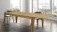 PAULA - stůl s prodloužením 200 - 250x100x78 cm