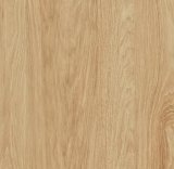 Dub hickory