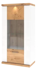 STRONG závěsná vitrína TYP 04